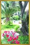 Karia Princess Hotel 